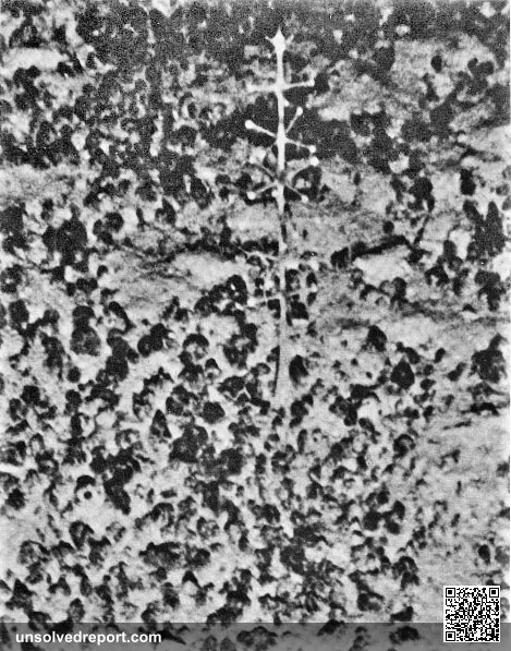 Eltanin Antenna