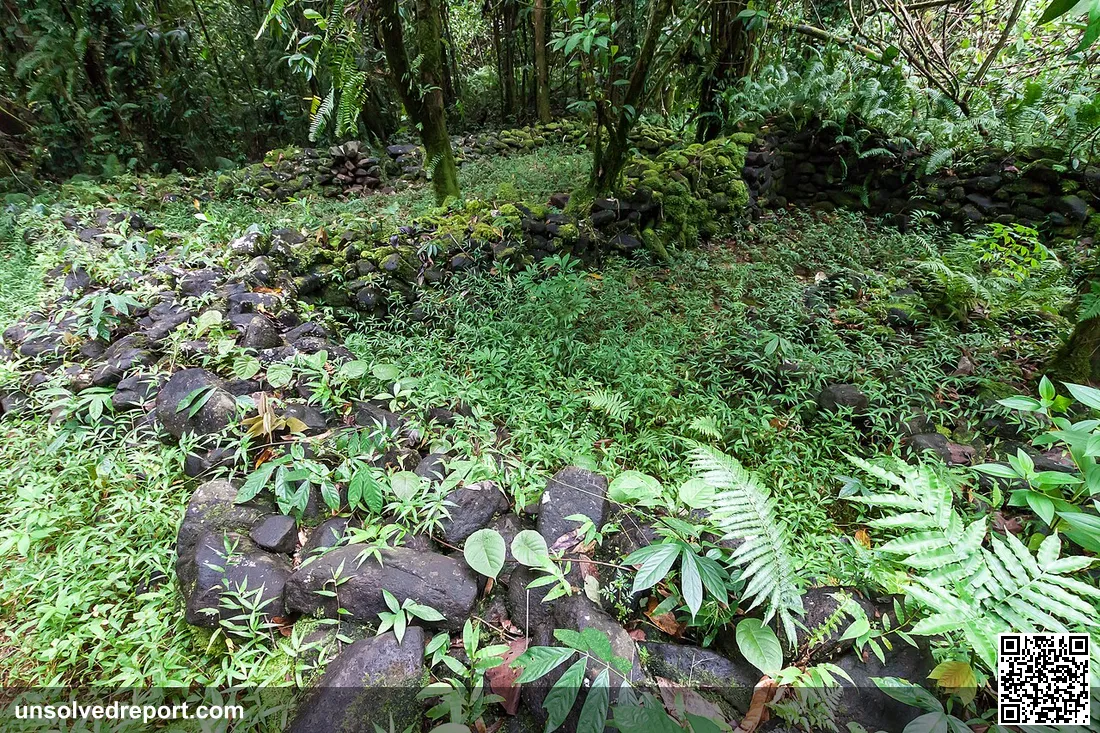 Typical fragments of Lelu ruins, in the jungle of Kosrae, Micronesia