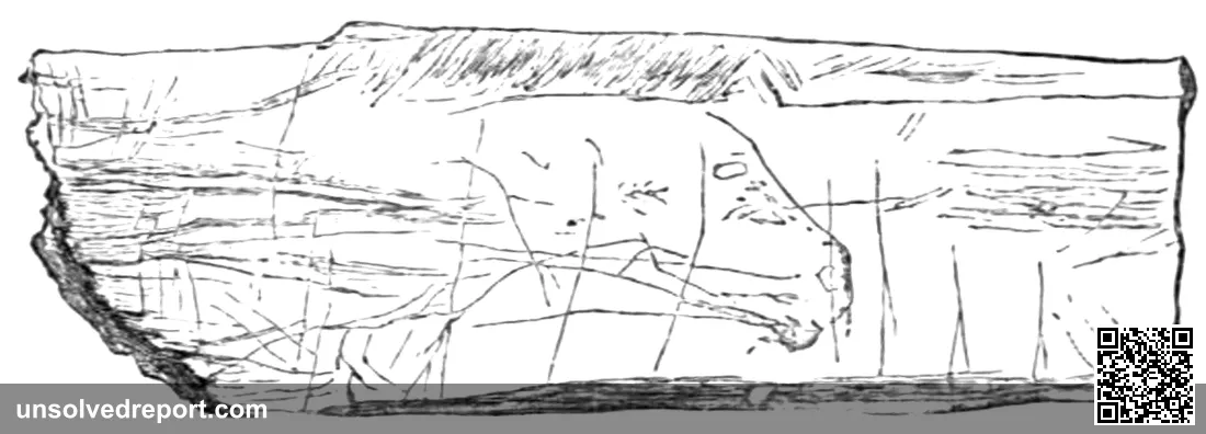 William Boyd Dawkins's 1877 published drawing of the Robin Hood Cave Horse — the image the Sherborne forger most likely copied.