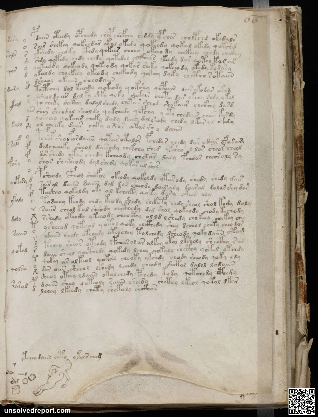 A page from the mysterious Voynich manuscript, which is undeciphered to this day.